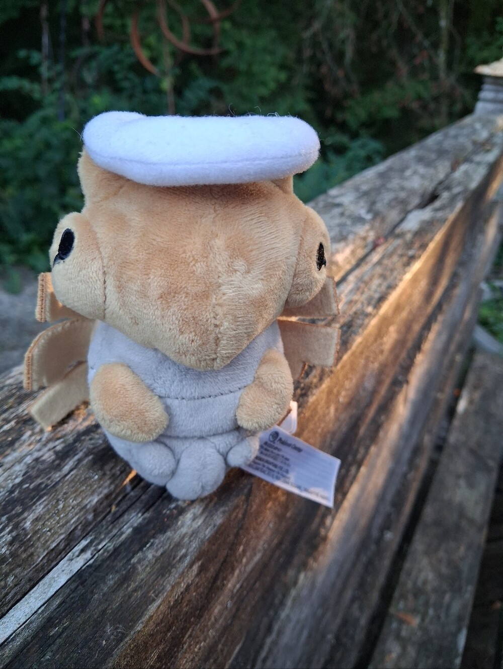 pokemon - Picture 5 of 5